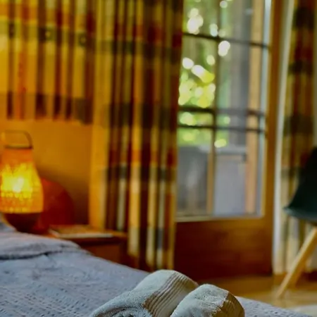 Alpine With Exceptional View Mayrhofen